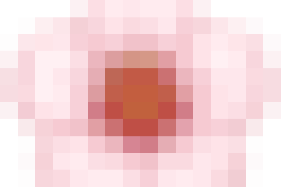 ​ TRƯỜNG MẦM NON MỸ THẮNG THÔNG BÁO Về việc nghỉ Tết Nguyên đán Bính Ngọ năm 2026 ​